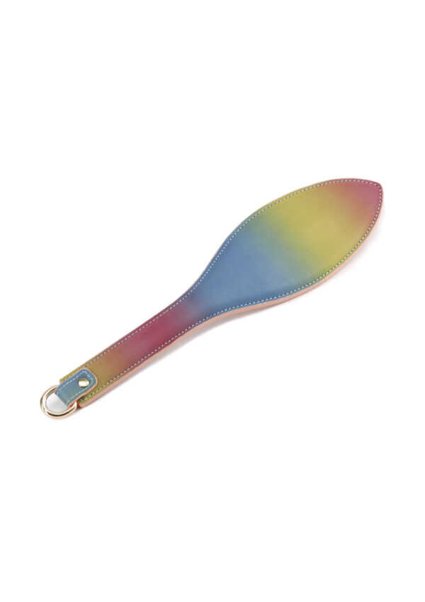 Spectra Bondage Paddle Rainbow