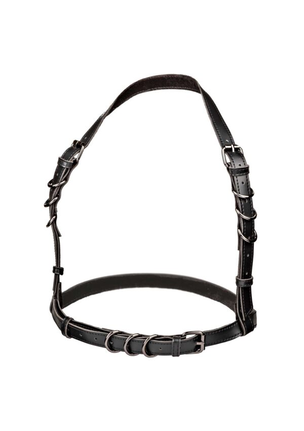 Halter Buckle Harness Black