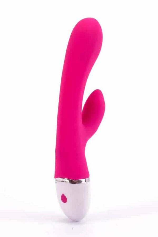 Lovetoy Dreamer Vibrator rose red