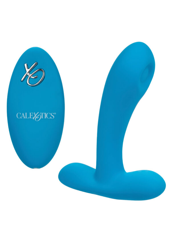 Silicone Remote Puls Pleaser Blue