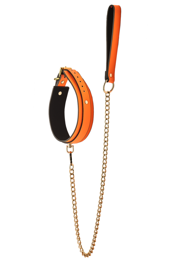 RADIANT COLLAR AND LEASH GLOW IN THE DARK ORANGE