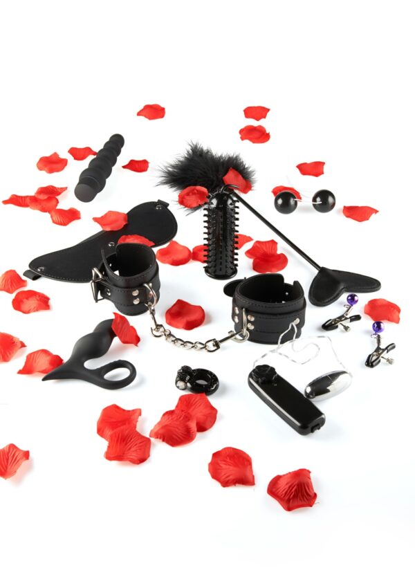 Lovetoy Starter Kit Black